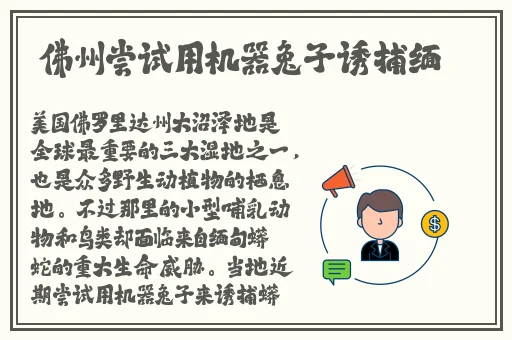 棒棒糖放**里吸收